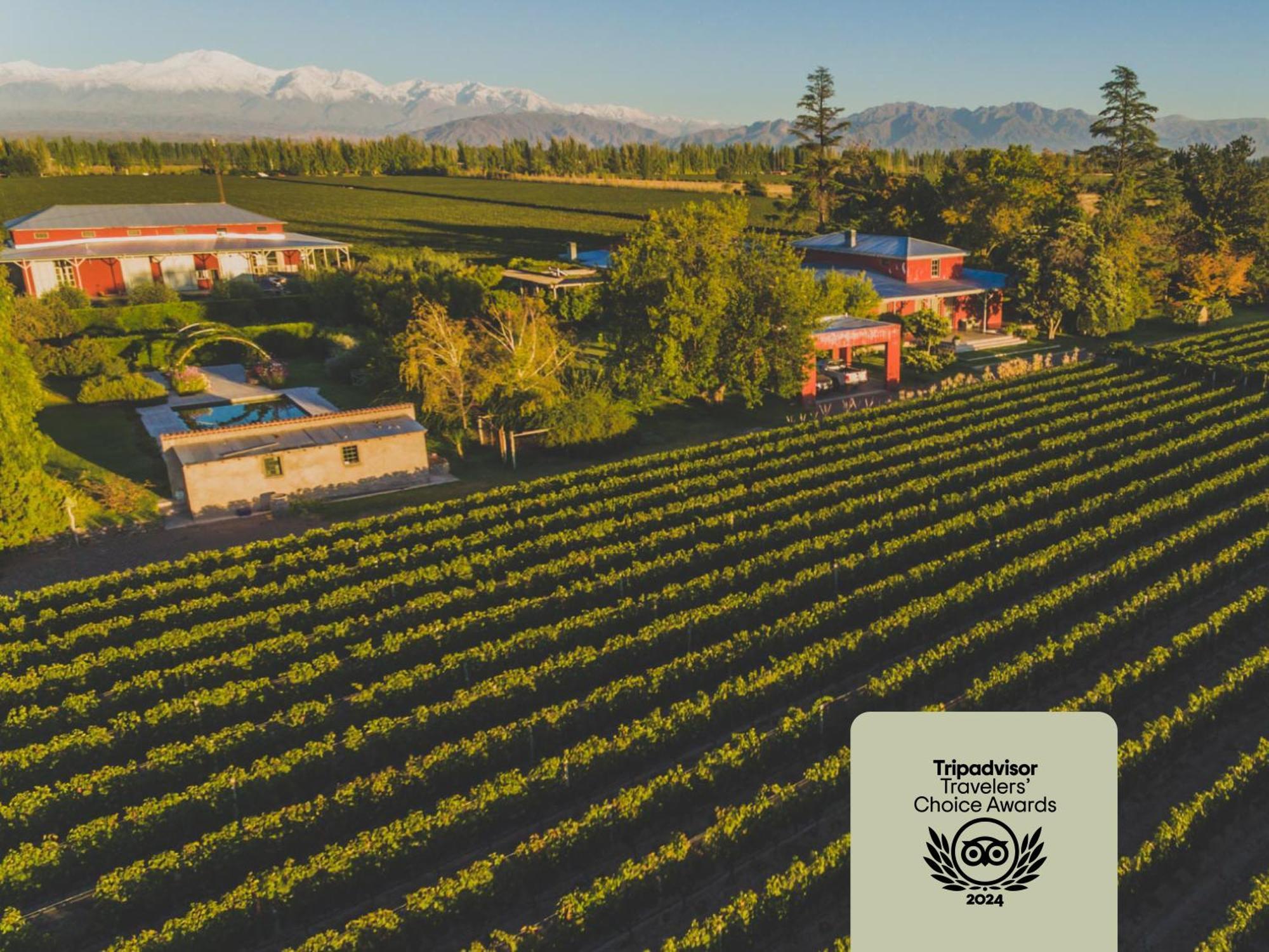 Enlace Wine House Lujan de Cuyo Exteriér fotografie