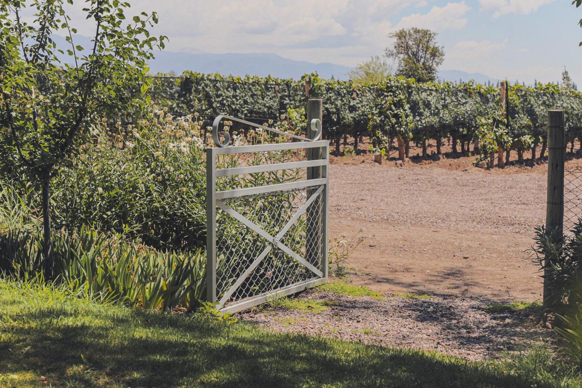 Enlace Wine House Lujan de Cuyo Exteriér fotografie